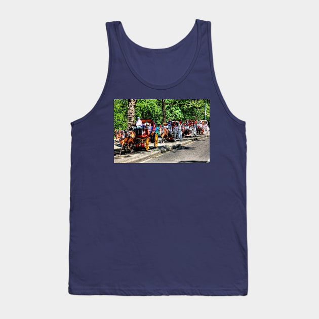 Central Park Carriage Ride Tank Top by tommysphotos